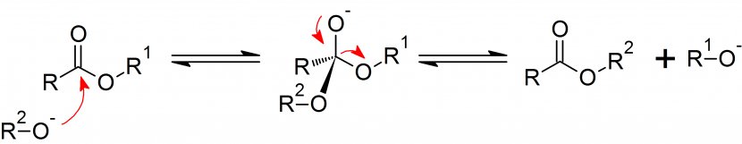 Transesterification Chemical Reaction Organic Chemistry Carbonyl Group - Text - General Transparent PNG