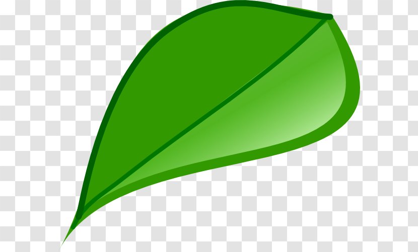 Leaf Graphics Product Design - Plant - Green Transparent PNG