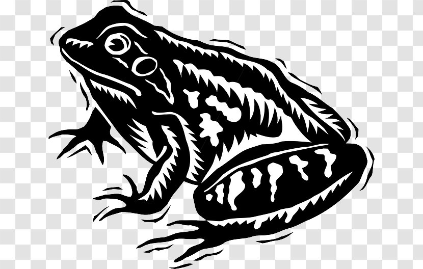 Tree Frog Black And White Clip Art - Artwork - Amphibian Transparent PNG