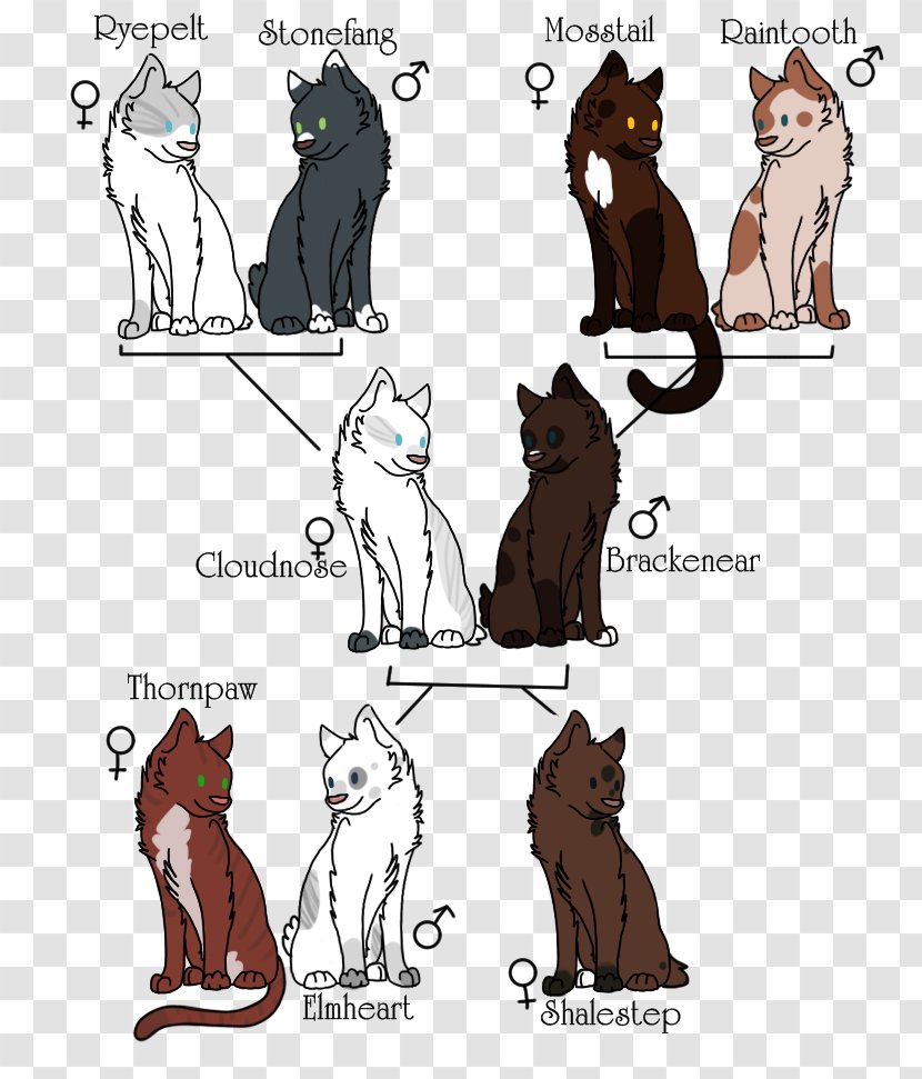 Cat Illustration Cartoon Comics Clip Art - Watercolor - My Family Tree Transparent PNG