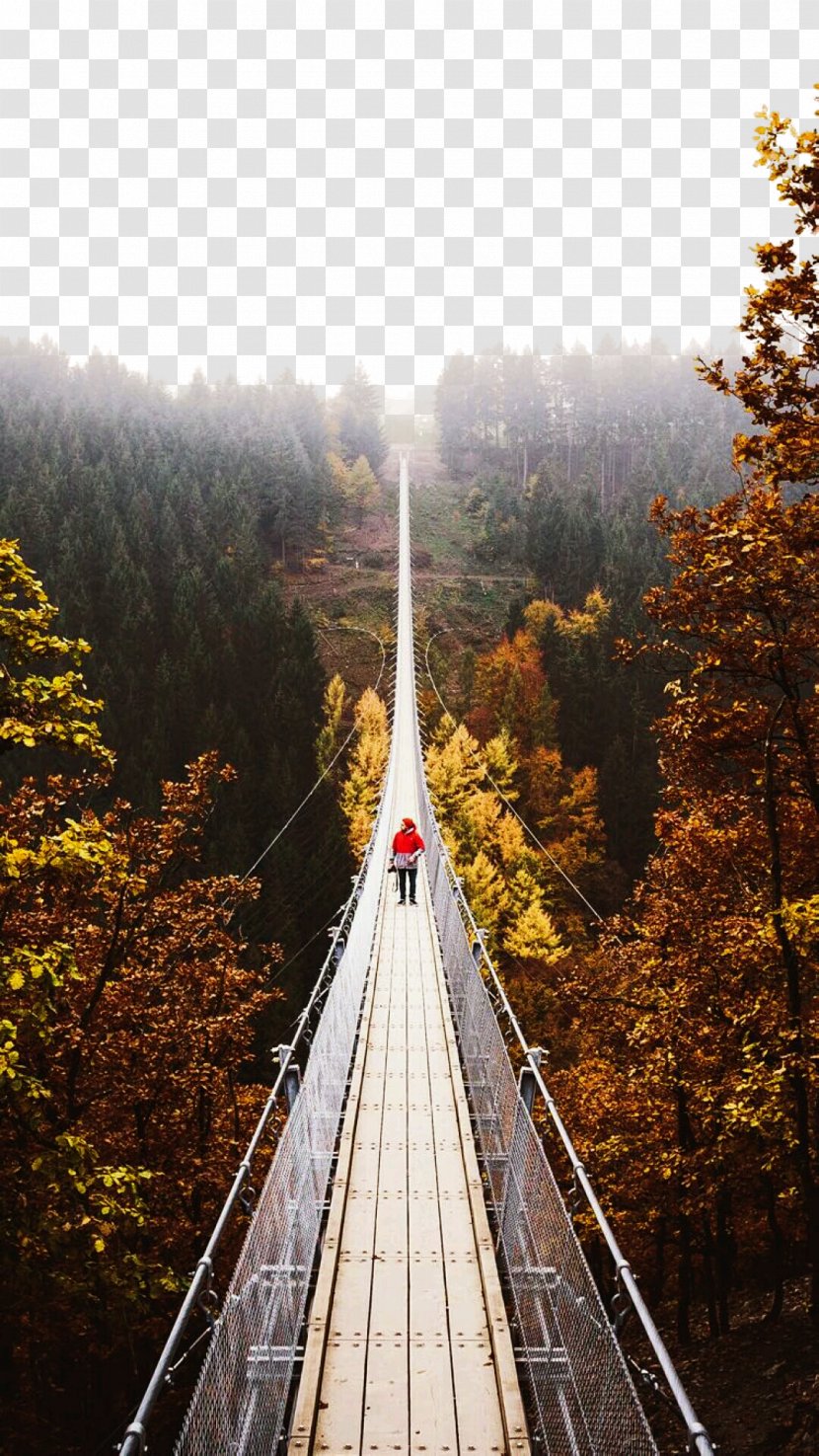 Geierlay Suspension Bridge Landscape - Idea Transparent PNG