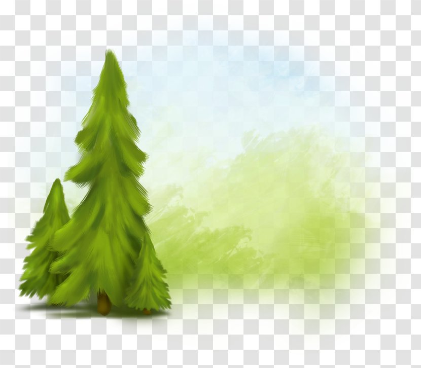 Fir Spruce Tree - Sky - Green Mountain Trees Transparent PNG