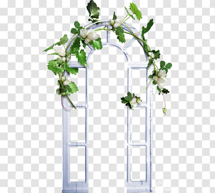 Corbel Arch - Tree - Flowering Plant Transparent PNG