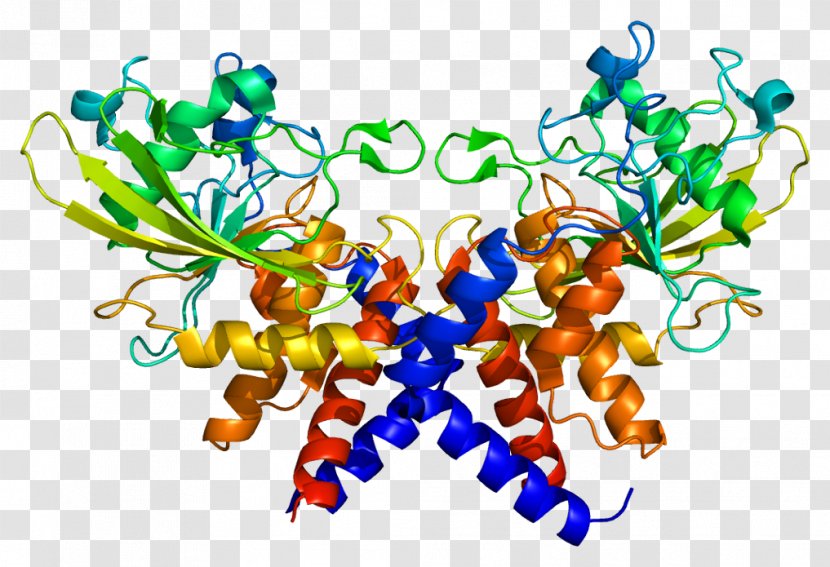 Replication Protein A3 Single-stranded Binding A1 - Recombinant Dna Transparent PNG