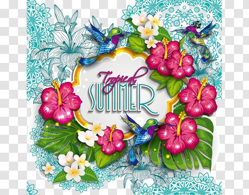 Shoeblackplant Hummingbird Flower - Plant - Vector Flowers Transparent PNG