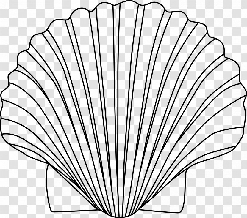 Seashell Clip Art - Black And White - Clams Transparent PNG