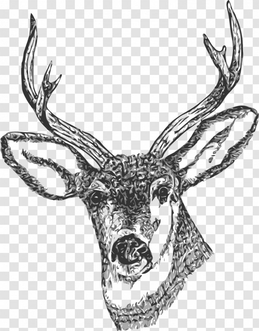 White-tailed Deer Reindeer Red Clip Art - Head Transparent PNG