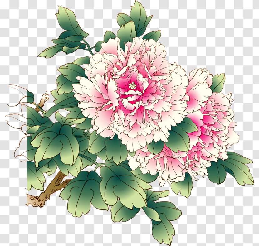 Chinese Peony Moutan Clip Art - Floristry Transparent PNG