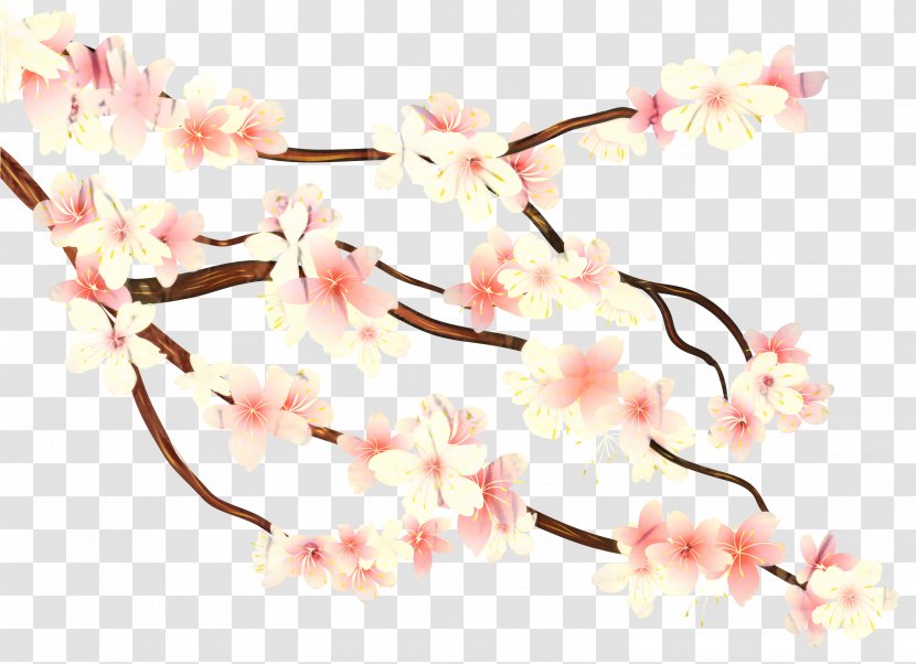 Clip Art Cherry Blossom Transparency - Branch - Cherries Transparent PNG