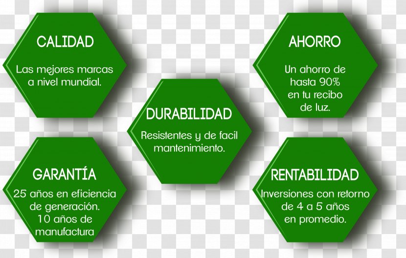 Systems Modeling Neuman Model Business Management - Information System Transparent PNG