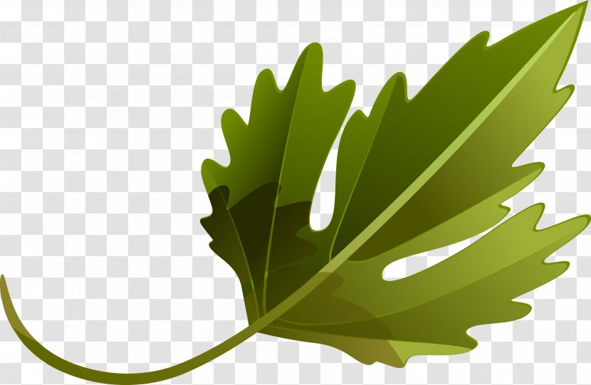 Leaf Vegetable Plant Tree - Leaves Transparent PNG