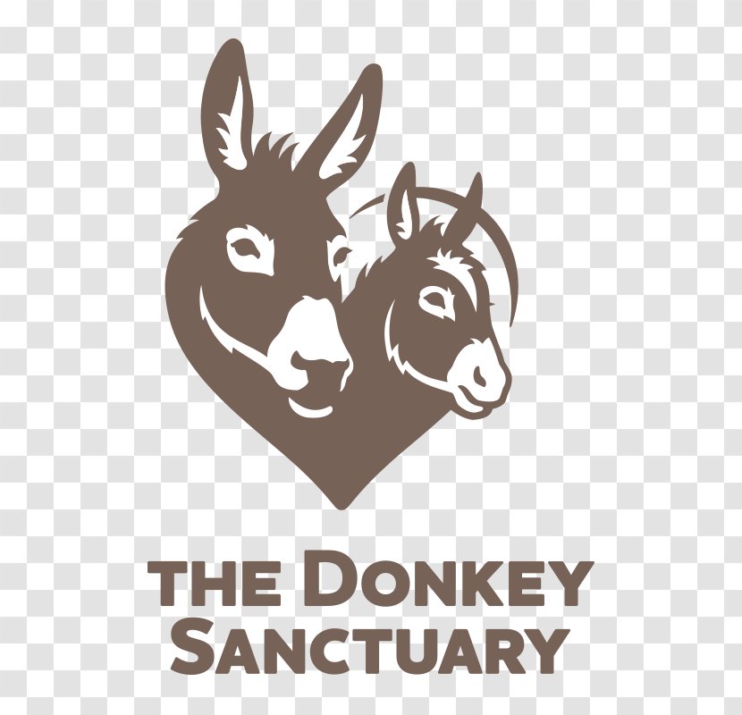 The Donkey Sanctuary Animal Mule Sidmouth - Charitable Organization Transparent PNG