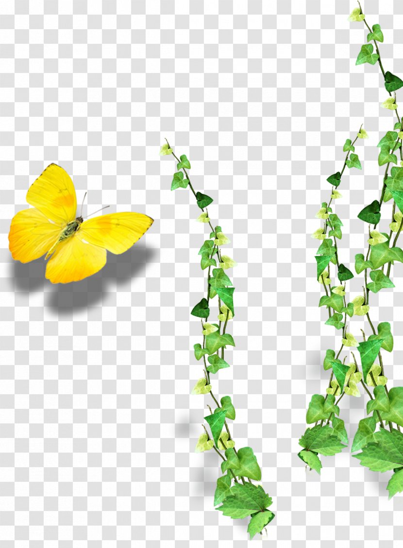 Laptop Download Computer File - Invertebrate - Flower Vine Transparent PNG