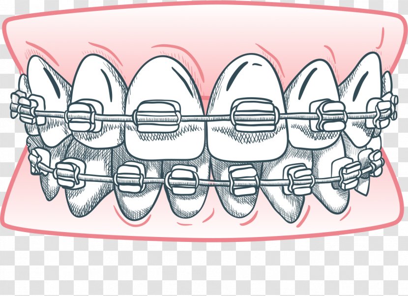 ZSIGMON DENTAL CLINIC Tooth Dentistry Health Care - Watercolor - Orthodontics Surgery Transparent PNG