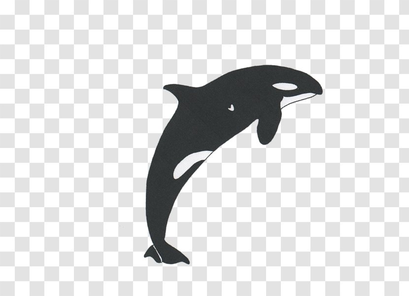 Dolphin Font - Mammal - Bleeding Gums Cartoon Transparent PNG