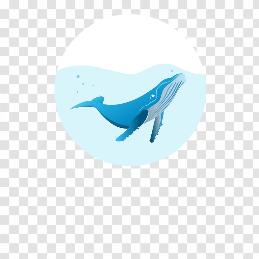 Dolphin Desktop Wallpaper Logo Illustration Computer - Biology - Hold On Transparent PNG