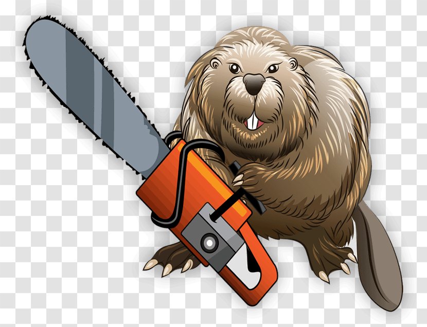 Beaver Chainsaw Transparent PNG