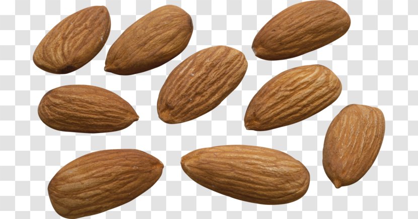 Nut Almond Milk Desktop Wallpaper - Prunus Transparent PNG