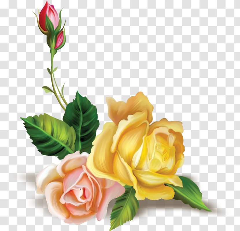 Flower Bouquet Floral Design Rose Clip Art - Painting Transparent PNG