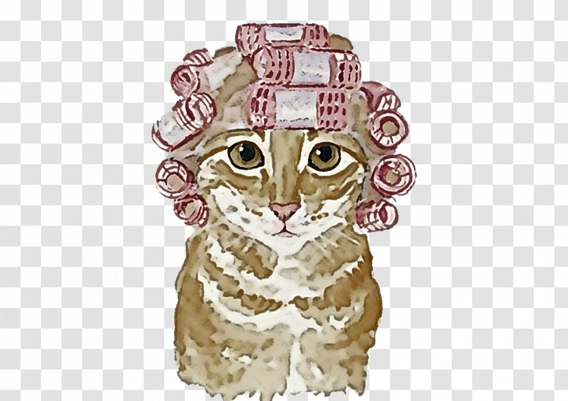 Cat Owl Kitten Small To Medium-sized Cats Whiskers Transparent PNG