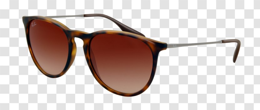 Ray-Ban Erika Classic Aviator Sunglasses Wayfarer - Glasses - RAY.BAN Transparent PNG
