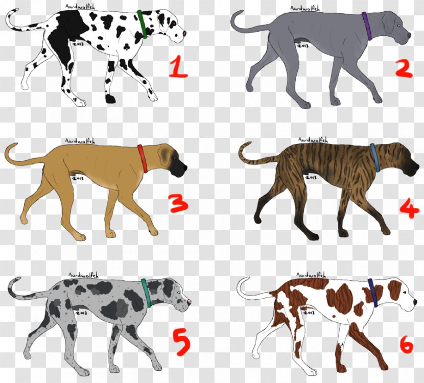 Great Dane Dog Breed Non-sporting Group Crossbreed - Organism - Tibetan Mastiff Transparent PNG