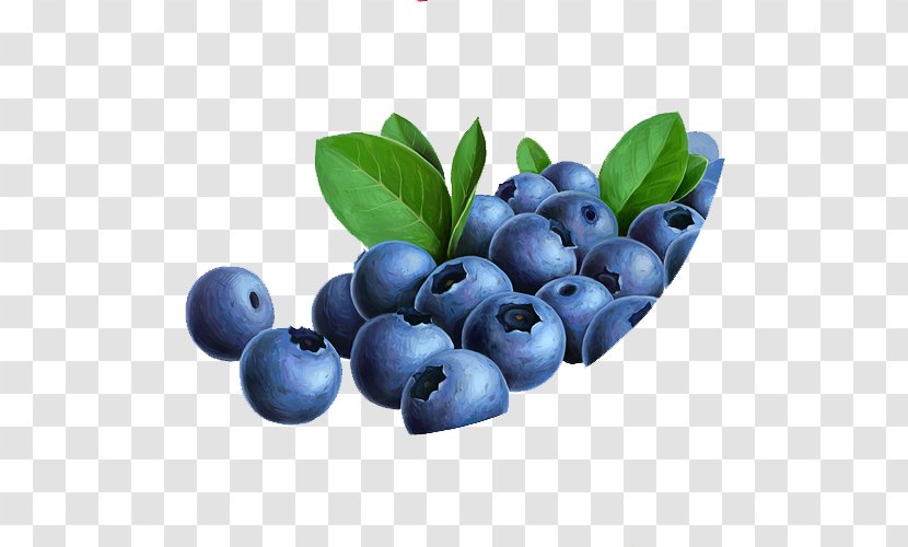 Blueberry Tea Bilberry Huckleberry Fruit Transparent PNG