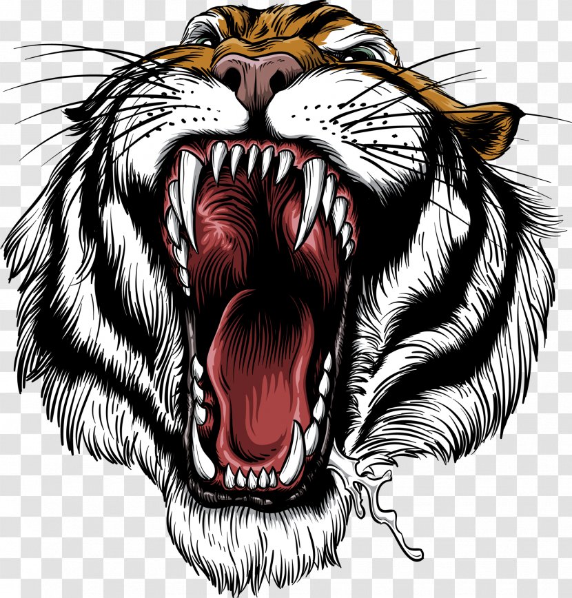 Roar Cdr Bengal Tiger Siberian Clip Art - Cartoon Transparent PNG