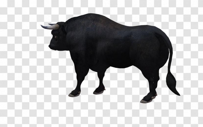 Heck Cattle Zebu Aurochs Extinction - Oxen - Bovini Transparent PNG