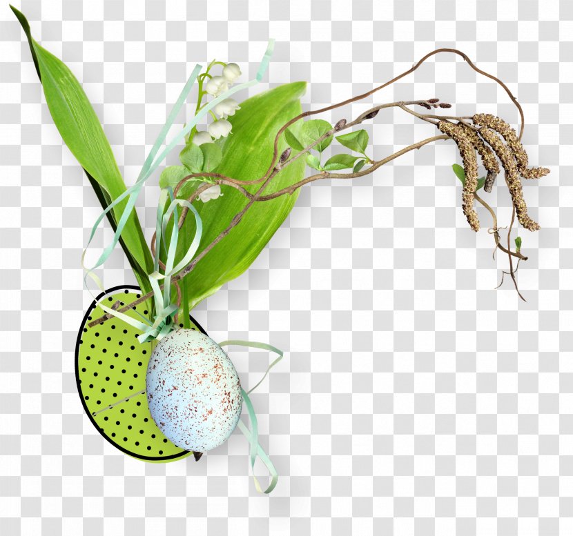Circle Leaf Clip Art - Eggs Lily Transparent PNG