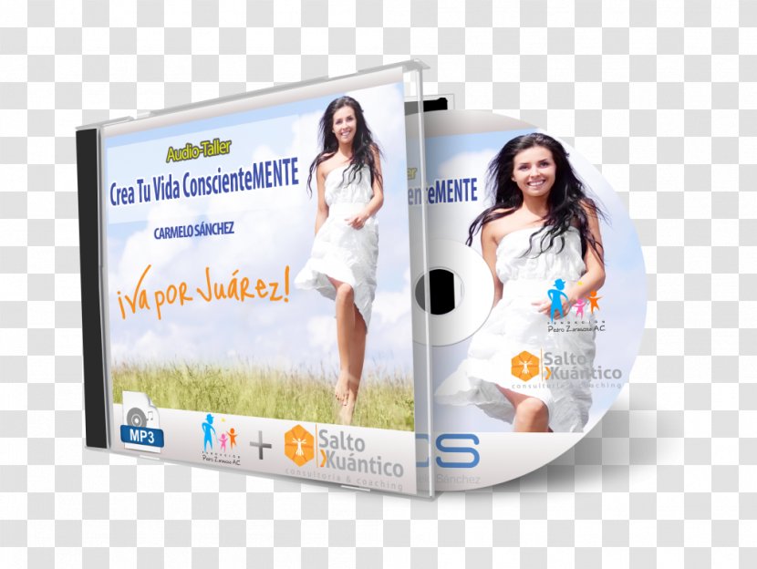 Advertising Brand Production Song - Manual Cover Transparent PNG