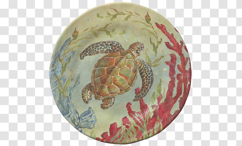 Box Turtles Sea Life Centres Tortoise Plate - Ocean - Bamboo Transparent PNG