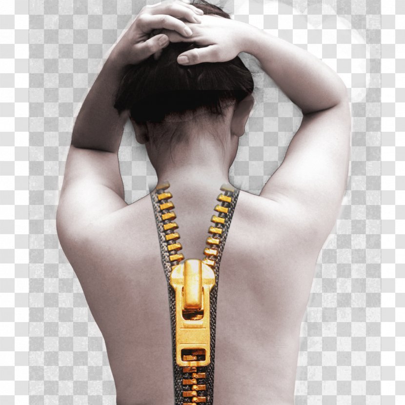 Zipper Human Body Bone Back Closure - Heart - Creative Visual People Free Downloads Transparent PNG