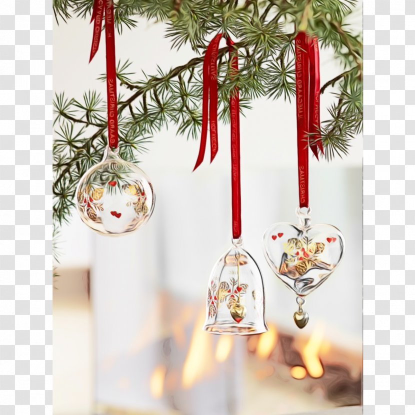 Christmas Tree Watercolor - Plant - Pine Family Transparent PNG