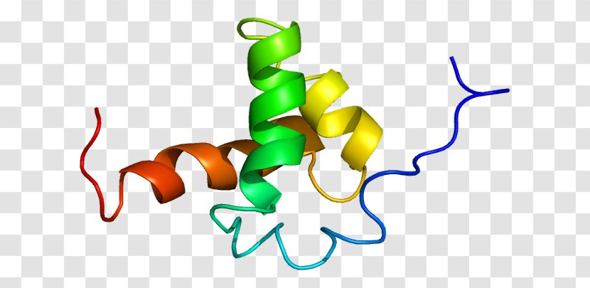 Nuclear Receptor Co-repressor 2 Protein Histone Corepressor - Frame - Flower Transparent PNG