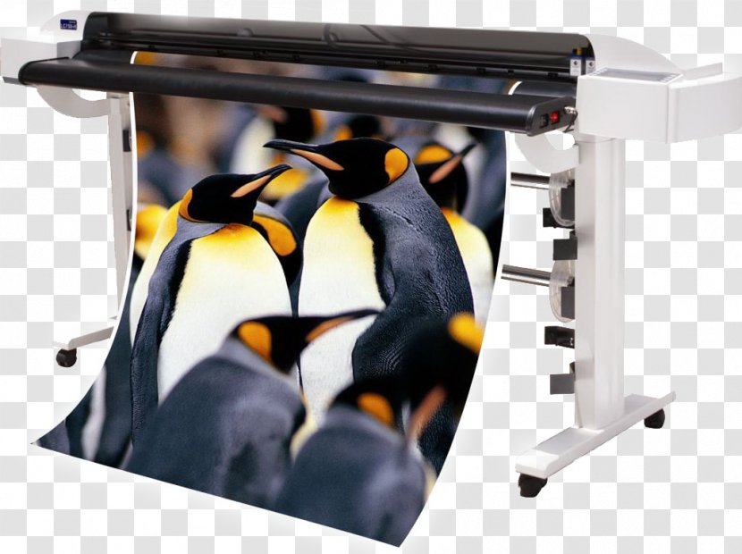 Printing Press Paper Business Glass - Penguin Transparent PNG