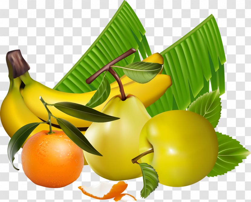 Banana Fruit Food - Citrus - Berries Transparent PNG