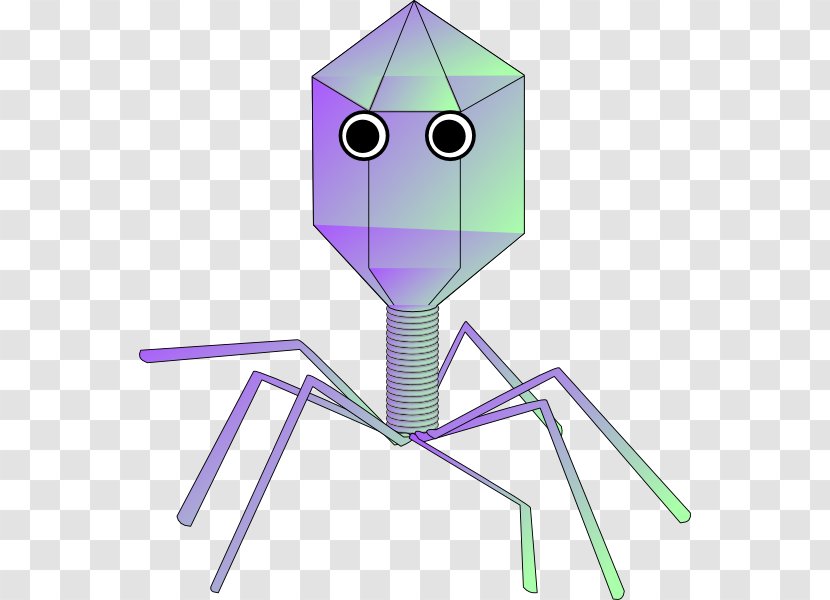 Virus Viral Vector Bacteriophage Clip Art - Infection - Biology Transparent PNG