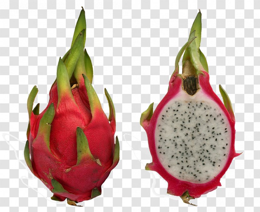 Smoothie Hylocereus Undatus Megalanthus Costaricensis Pitaya - Nutrition - Dragon Fruit Transparent PNG