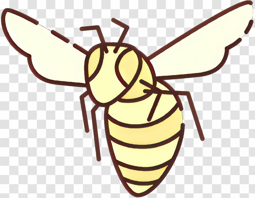 Honey Bee Clip Art Insect Product - Invertebrate - Fly Transparent PNG