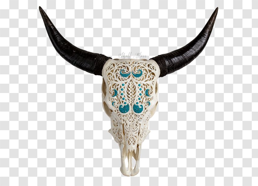 Skull XL Horns Cattle Water Buffalo - Horn Transparent PNG