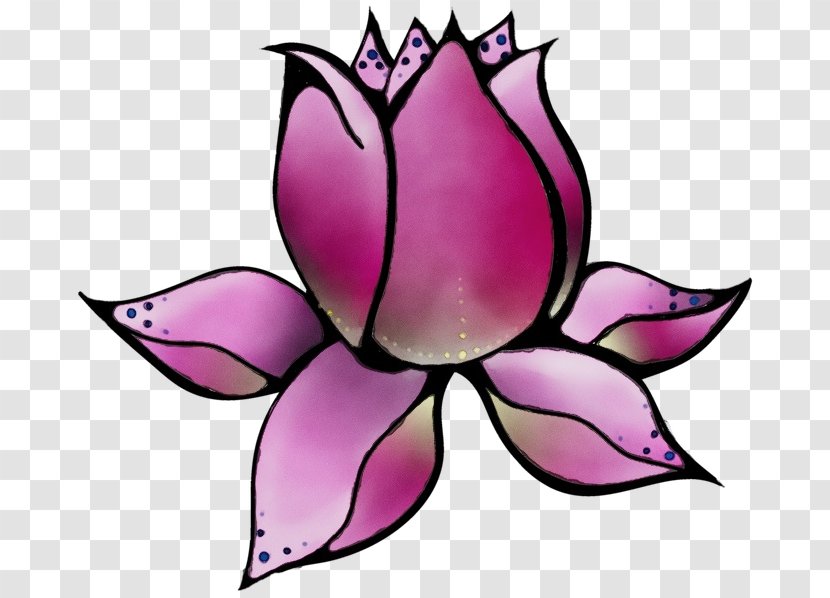 Purple Watercolor Flower - Proteales - Symmetry Transparent PNG
