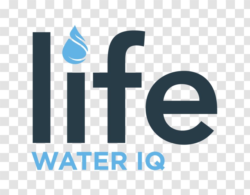 Skiing Logo Winter Sport - Text - Water Life Transparent PNG