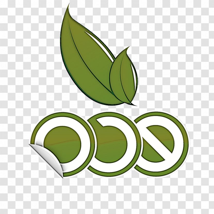 Green Leaf Logo Plant Flower - Perennial Transparent PNG