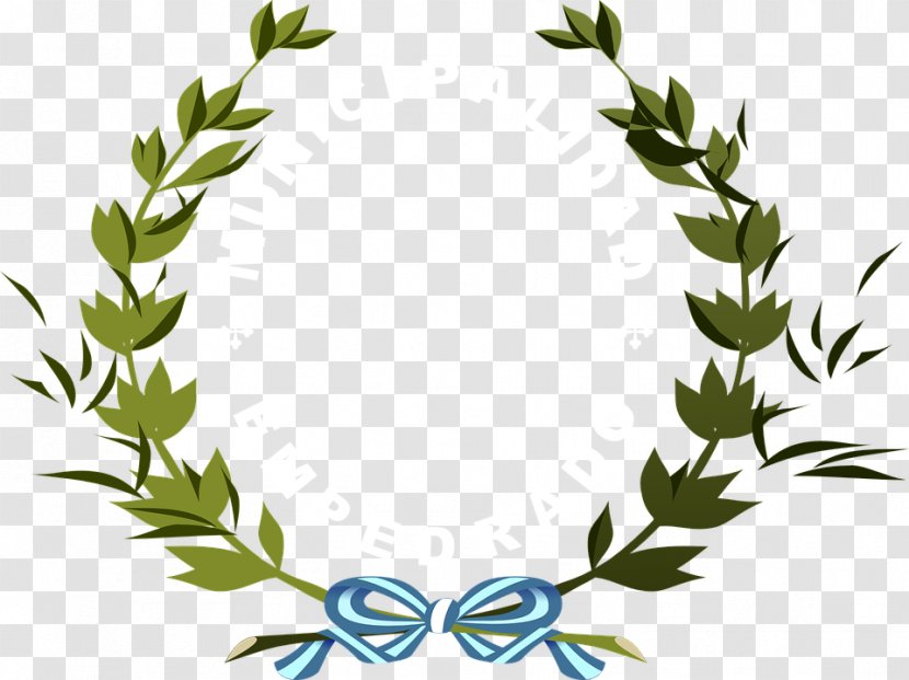 Bay Laurel Wreath Olive Clip Art - Tree - Vector Transparent PNG