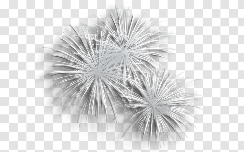 Fireworks Black And White Clip Art - Tree - Design Transparent PNG
