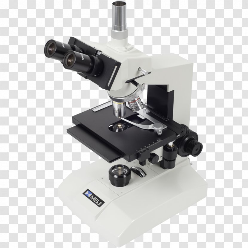 Phase Contrast Microscopy Optical Microscope Bright-field - Clincal Transparent PNG
