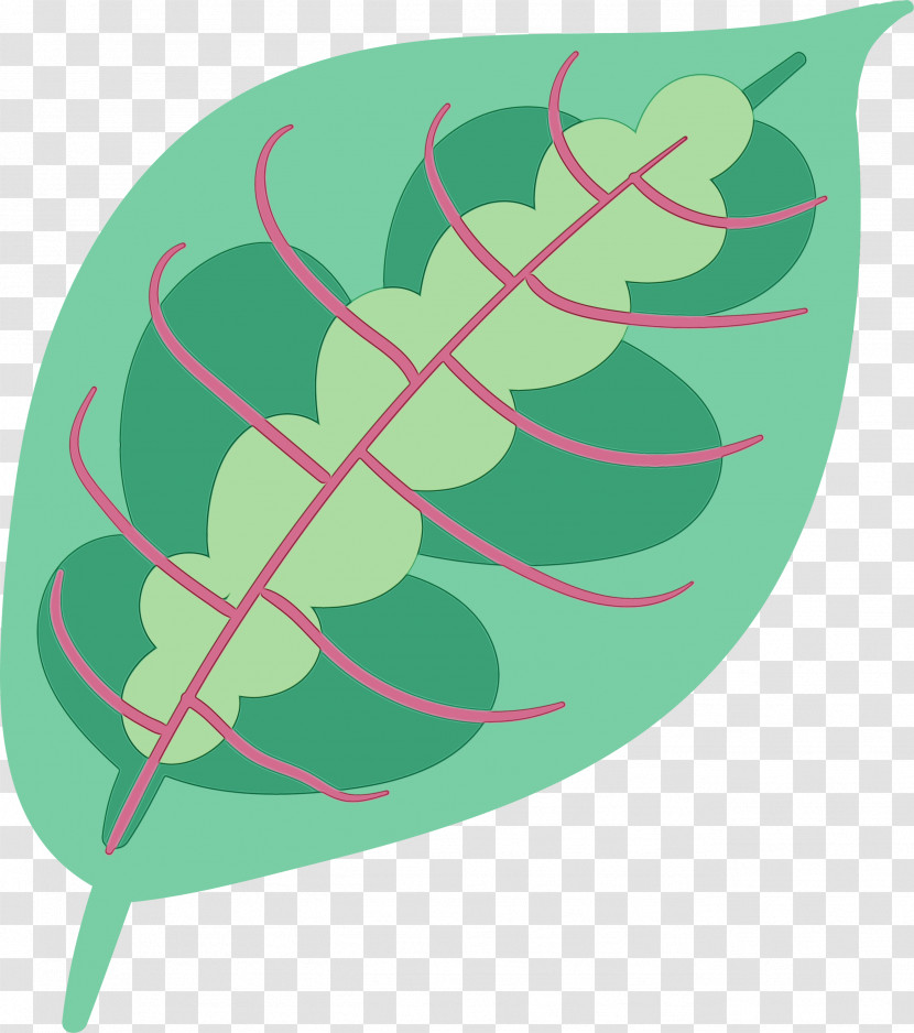 Leaf Green Font Pattern Biology Transparent PNG
