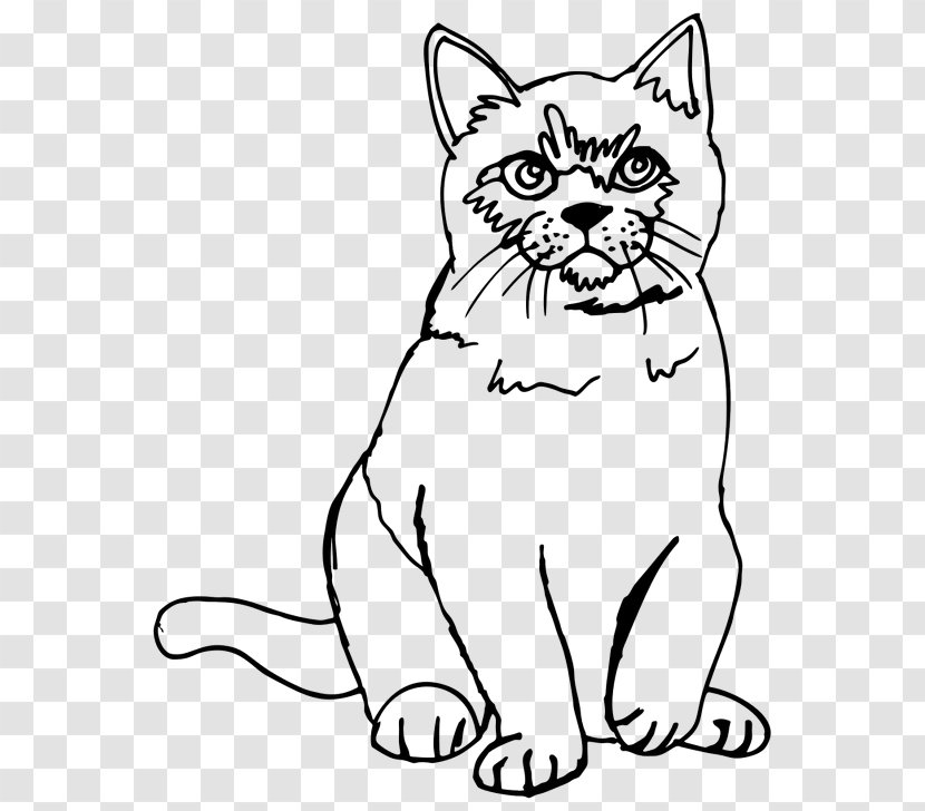Persian Cat Kitten Siamese Drawing Sketch - Coloring Book Transparent PNG