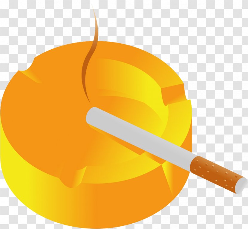 Combustion Cigarette Yellow - Frame - Burning Butts Transparent PNG